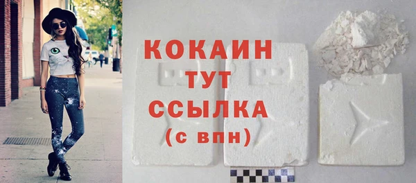 spice Каменка