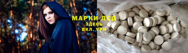 индика Абаза