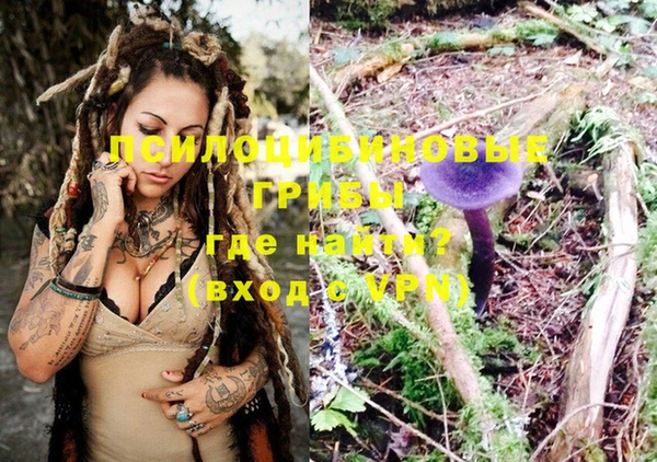 меф Ельня