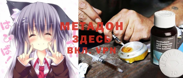 индика Абаза