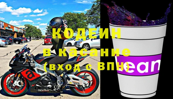 индика Абаза
