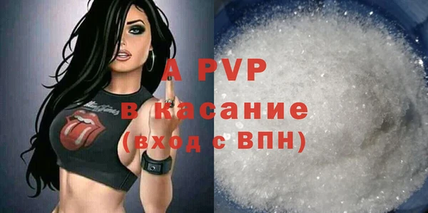 индика Абаза